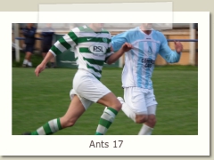 Ants 17