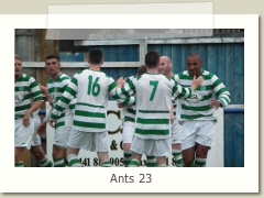 Ants 23